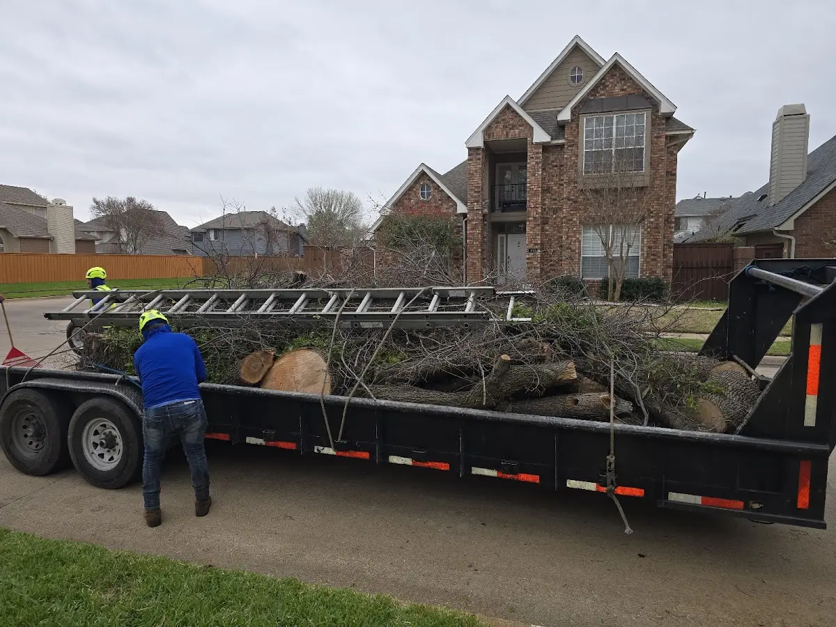 Expert Lot Clearing with proper safety equipment in Fairmont